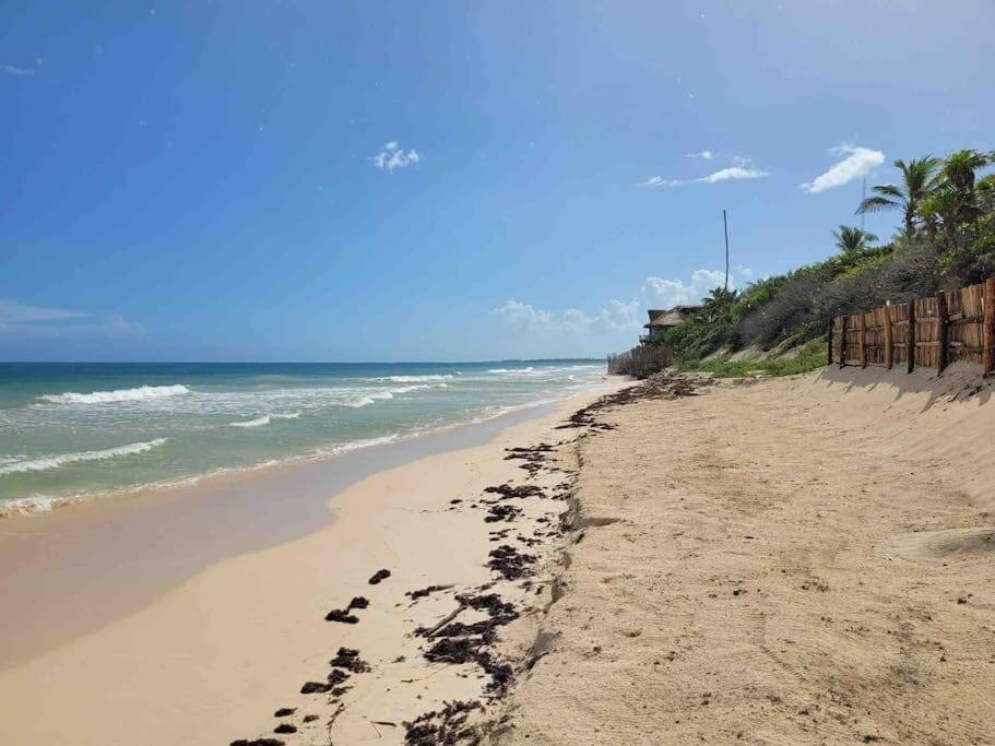 Luxury 5-Br Beachfront Home In Tulum Casa Sofia Gato 外观 照片