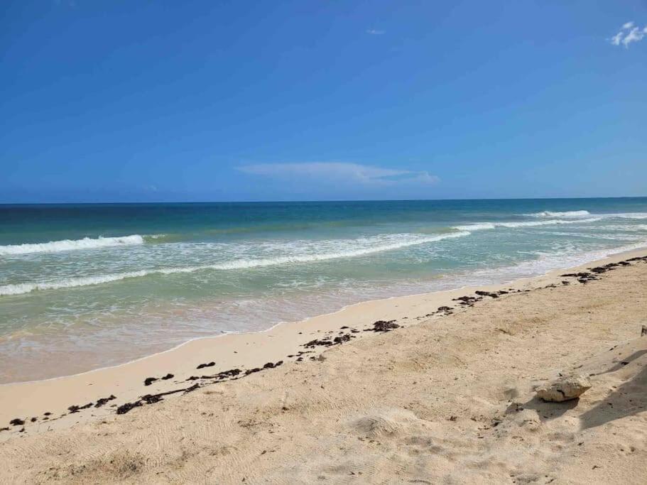 Luxury 5-Br Beachfront Home In Tulum Casa Sofia Gato 外观 照片
