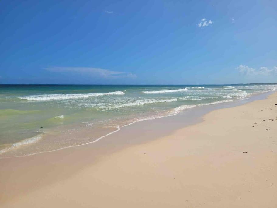 Luxury 5-Br Beachfront Home In Tulum Casa Sofia Gato 外观 照片