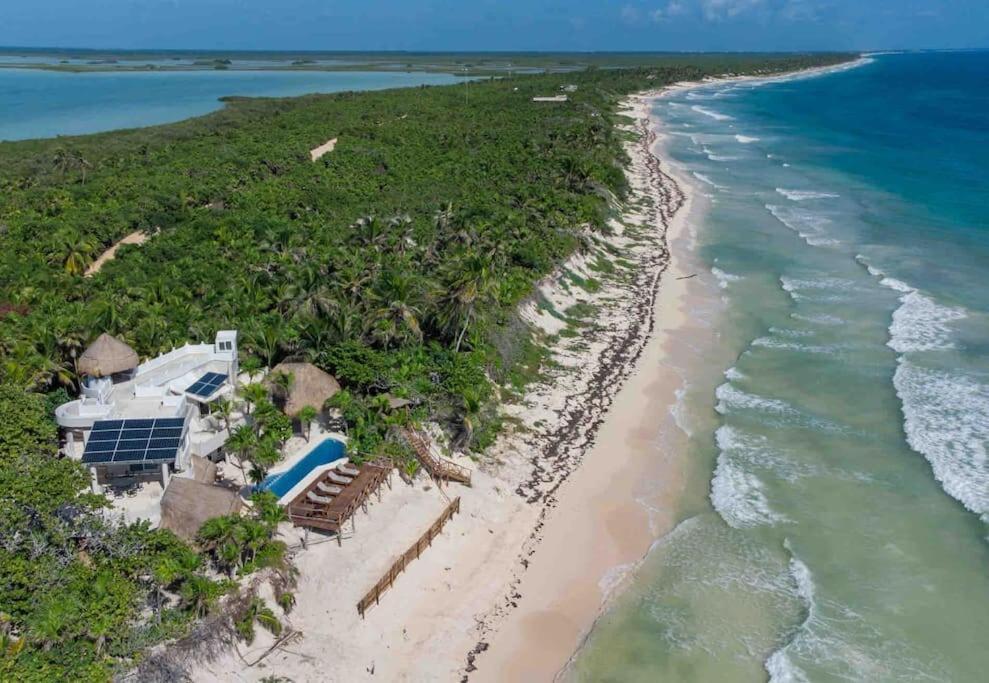 Luxury 5-Br Beachfront Home In Tulum Casa Sofia Gato 外观 照片