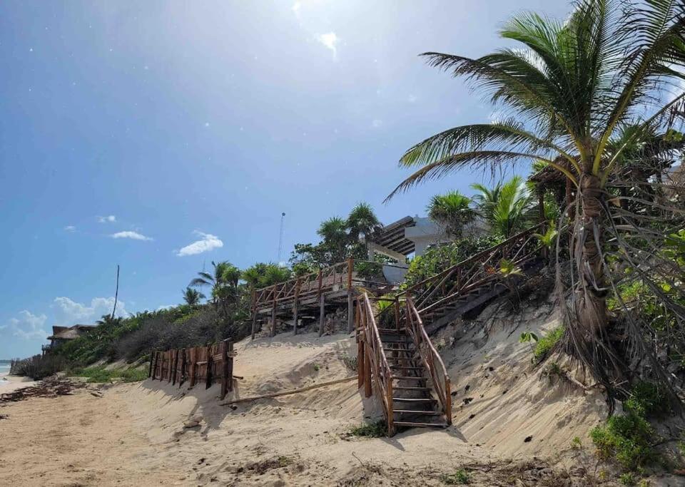 Luxury 5-Br Beachfront Home In Tulum Casa Sofia Gato 外观 照片